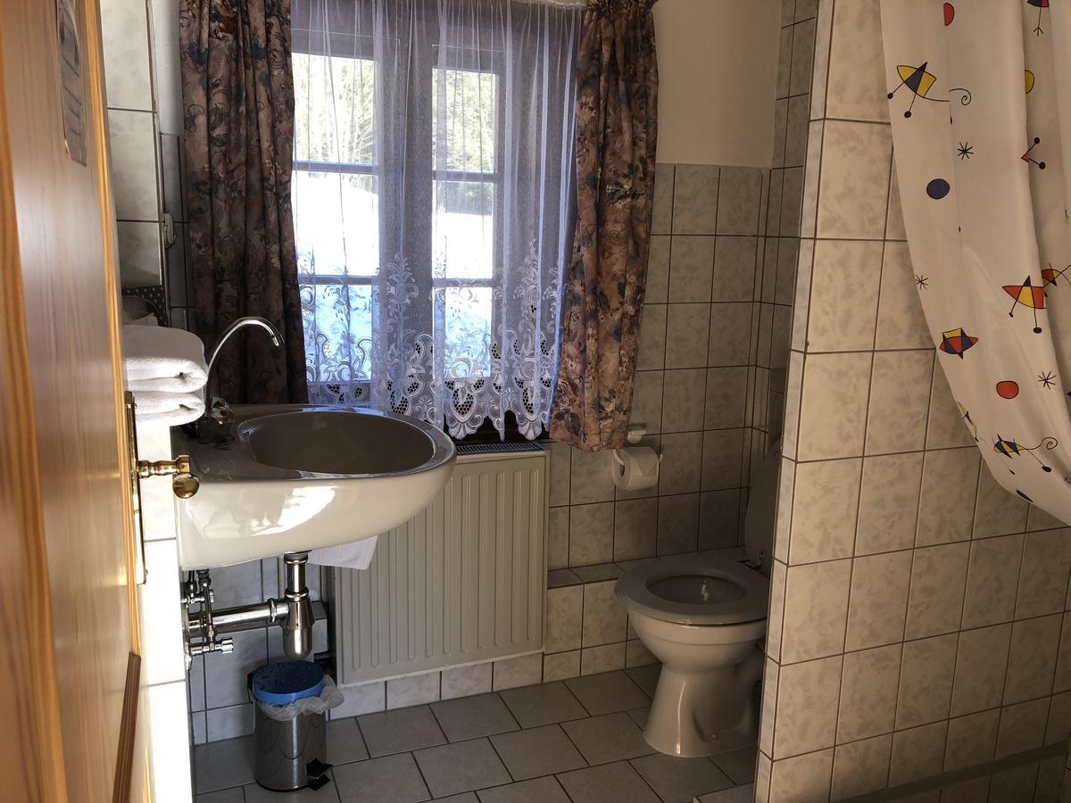 Pension Untere Rauner Muehle Bad Brambach Exteriér fotografie
